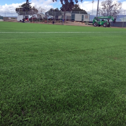 Synthetic Turf Sports Morning Glory Texas