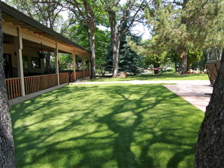 Artificial Animal Shelter Anthony Texas Installation