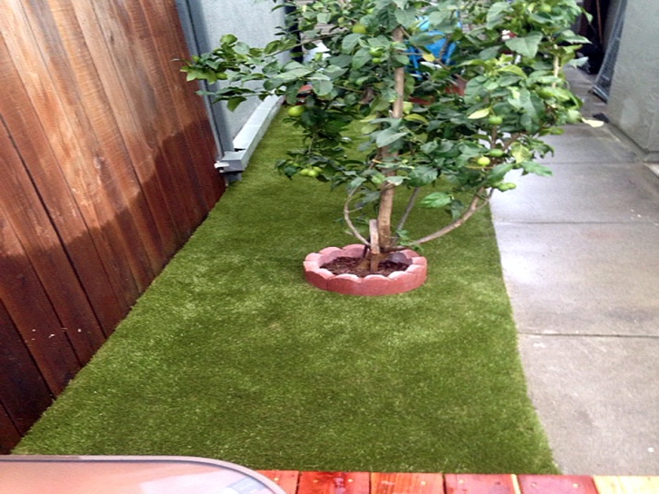 Artificial Pet Grass San Elizario Texas Installation