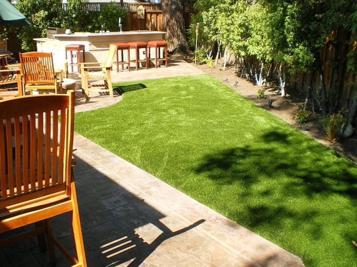 Artificial Pet Turf Agua Dulce Texas for Dogs