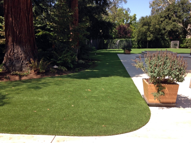 Artificial Pet Turf Clint Texas for Dogs