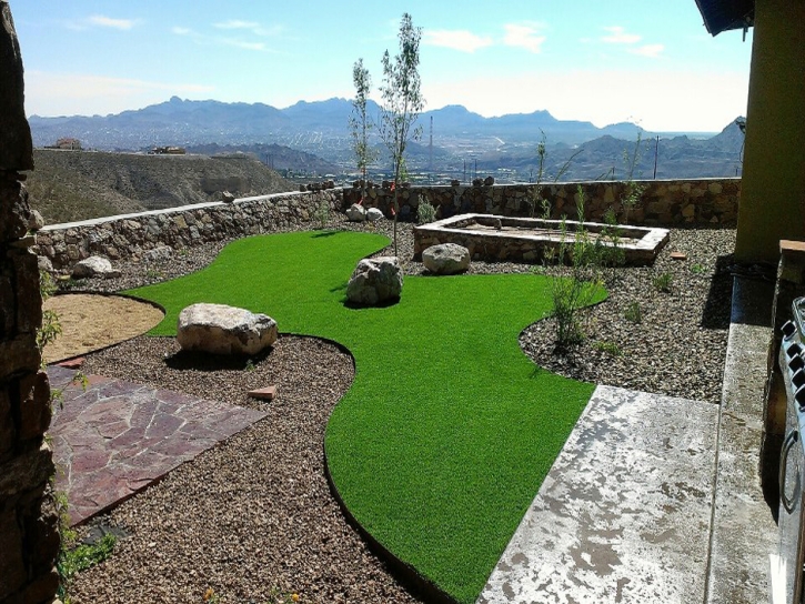 Artificial Pets Areas Butterfield Texas Installation