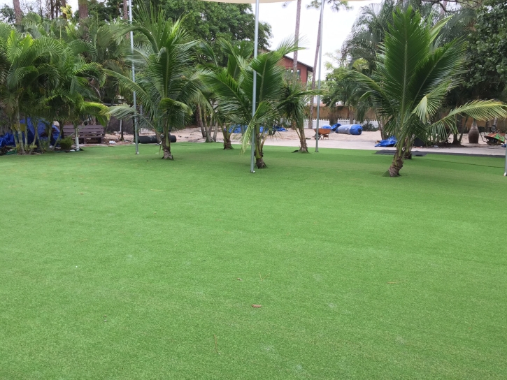 Artificial Turf Sundown, Texas Landscaping Business, Commercial Landscape