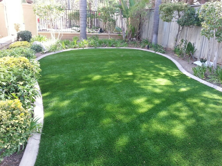 Best Artificial Grass Balmorhea, Texas Home And Garden