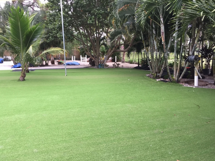 Best Artificial Grass McKinney Acres, Texas Landscaping Business, Commercial Landscape