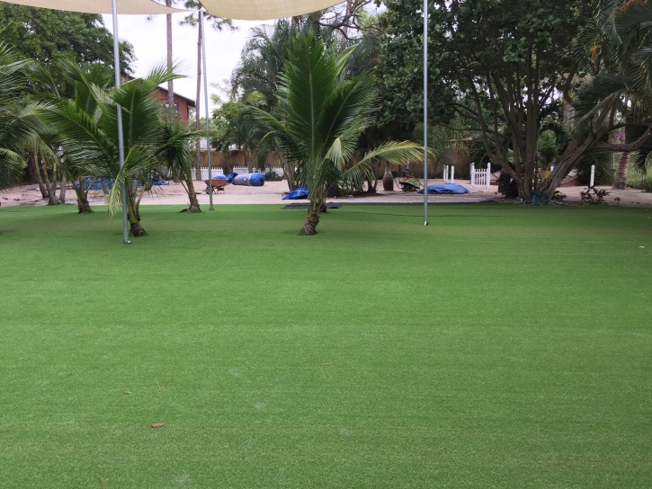 Best Artificial Grass Presidio, Texas Garden Ideas, Commercial Landscape