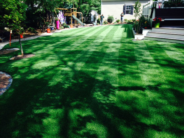 Fake Grass Los Ybanez, Texas Lawns, Backyard Garden Ideas