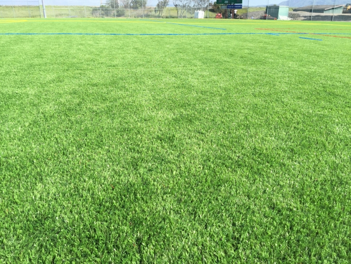 Fake Grass Sports Sparks Texas