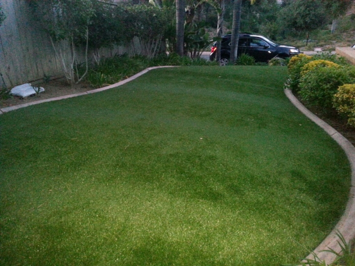 Fake Grass Whiteface, Texas City Landscape, Front Yard Ideas