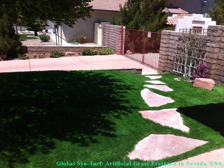 Fake Pet Turf Fabens Texas for Dogs