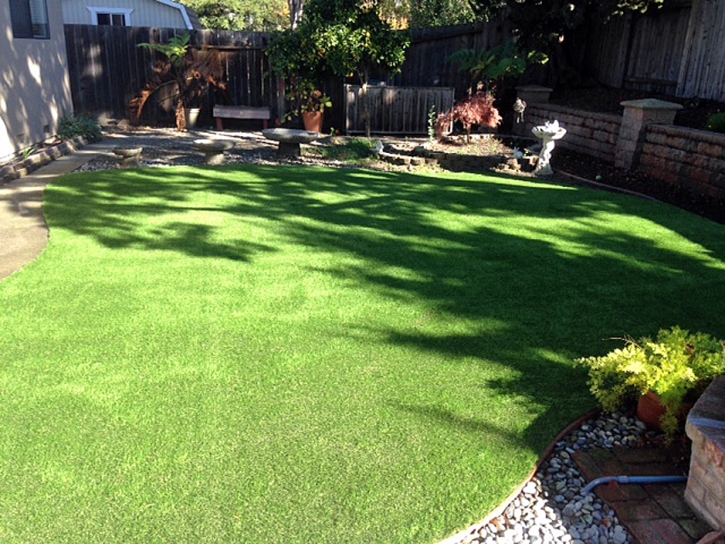 Fake Pet Turf Westway Texas Installation