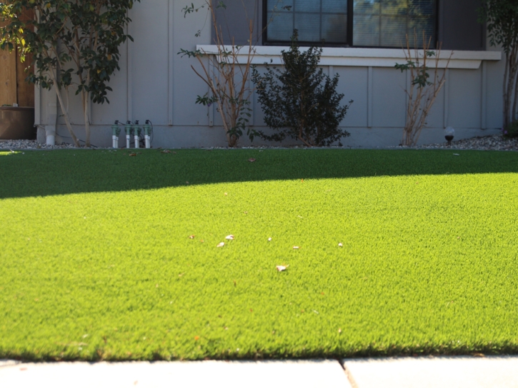 Fake Turf Horizon City Texas Lawn