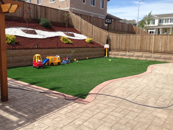 Faux Grass Thorntonville, Texas Lacrosse Playground, Backyard Design