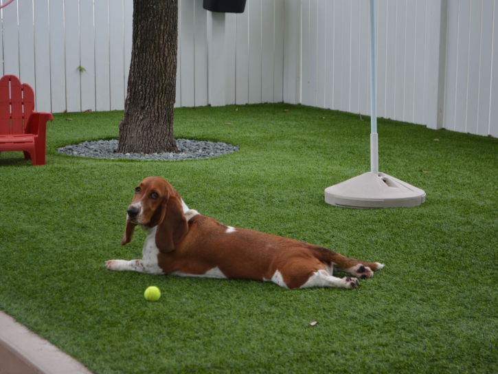 Grass Turf Loop, Texas Dog Park, Dogs Park