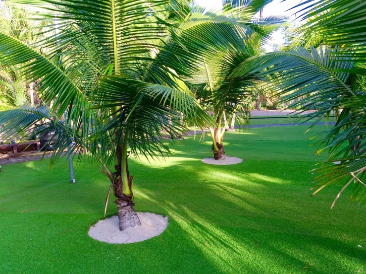 How To Install Artificial Grass Wink, Texas Roof Top, Commercial Landscape