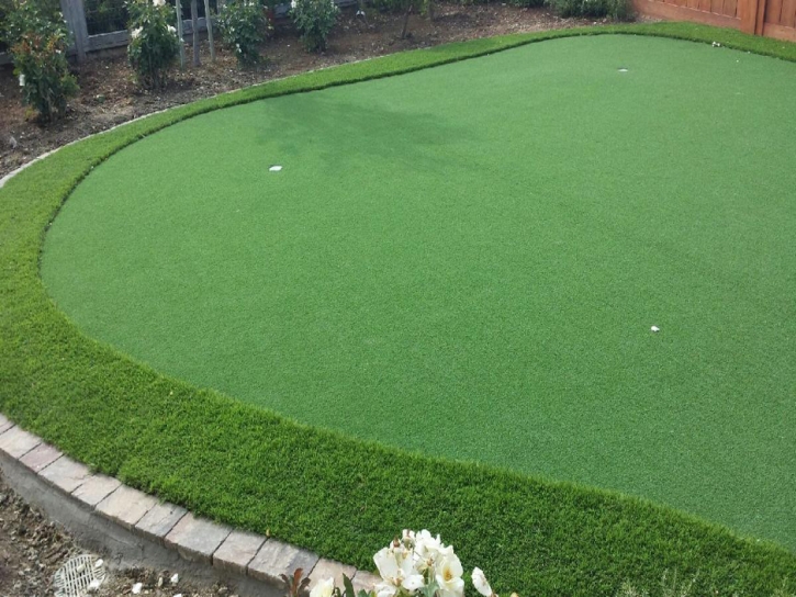 Putting Greens Horizon City Texas Artificial Turf