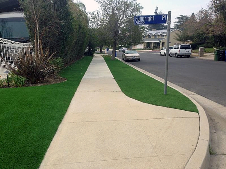 Synthetic Grass Anthony Texas Landscape