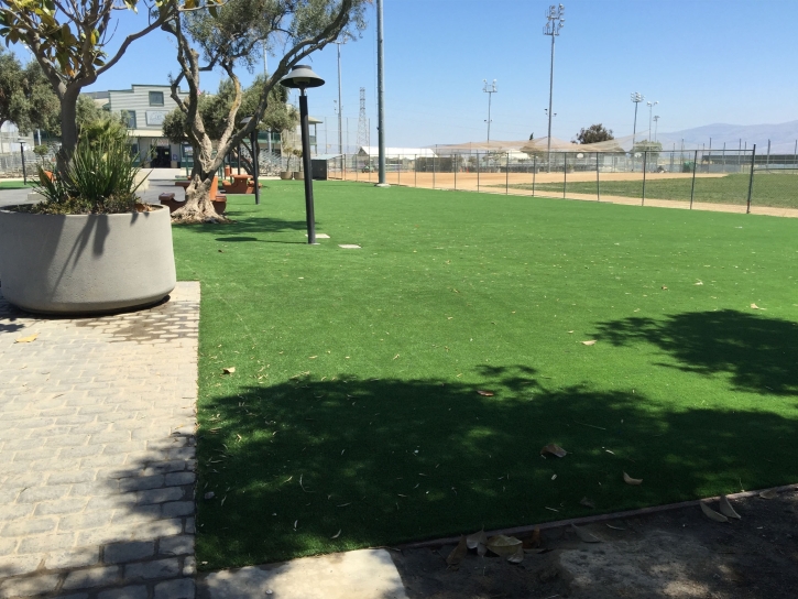 Synthetic Grass Iraan, Texas Landscape Design, Parks