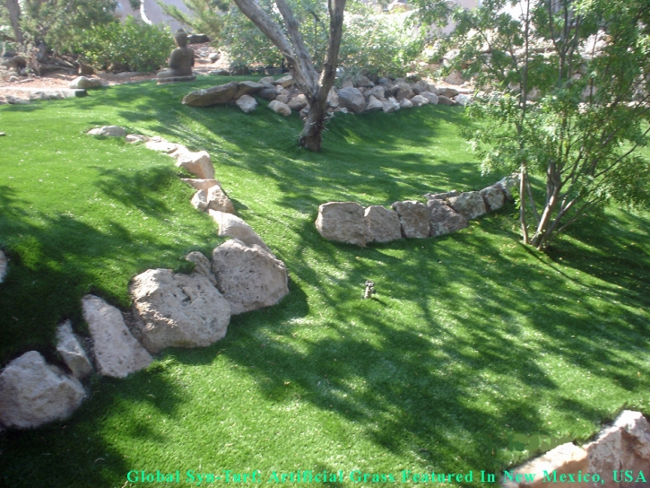 Synthetic Grass Sparks Texas Lawn