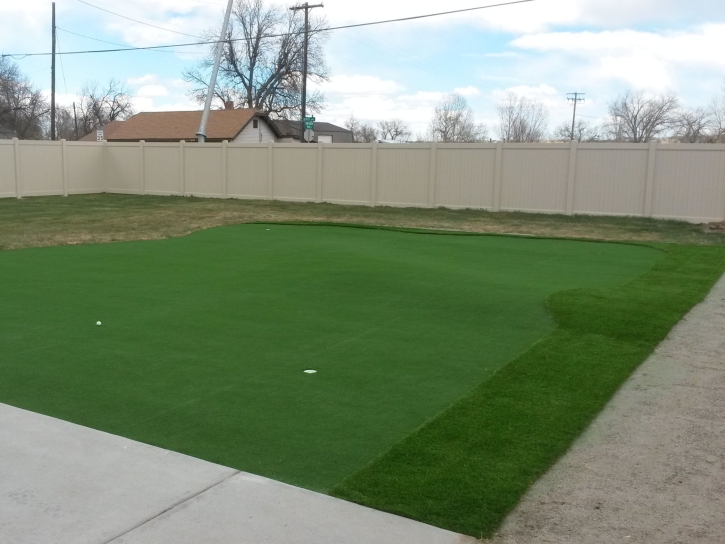 Synthetic Lawn Valentine, Texas How To Build A Putting Green, Backyard Garden Ideas