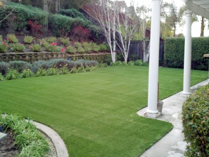 Synthetic Pet Grass Clint Texas Installation