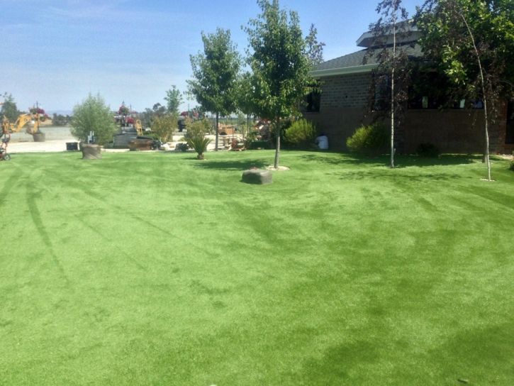 Synthetic Pet Grass Homestead Meadows North Texas Installation