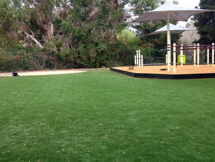 Synthetic Turf Homestead Meadows South Texas Kids Care
