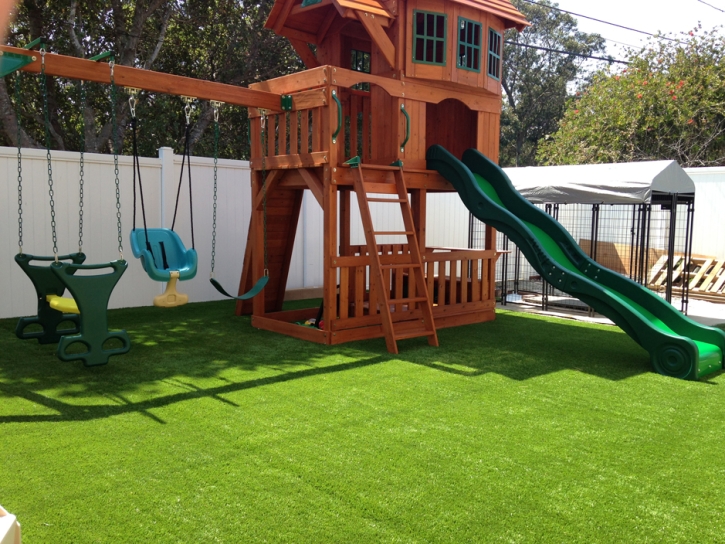 Synthetic Turf Morning Glory Texas Kindergarten