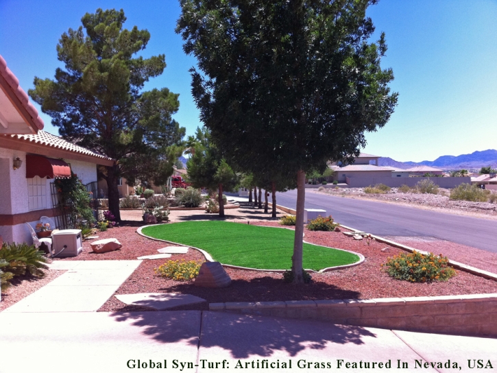 Synthetic Turf Socorro Mission Number 1 Colonia Texas Landscape