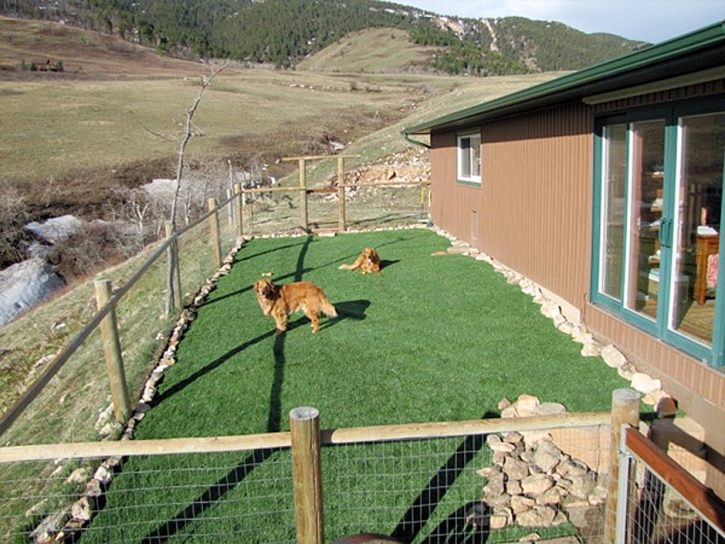 Synthetic Veterinary Clinic Prado Verde Texas Installation