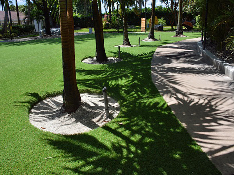 Artificial Pet Gr Horizon City Texas For Dogs